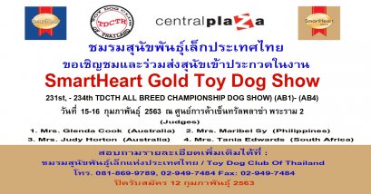 SmartHeart Gold Toy Dog Show 2020